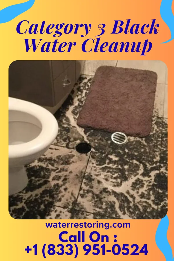 Category 3 Black Water Cleanup in Beards Fork, WV