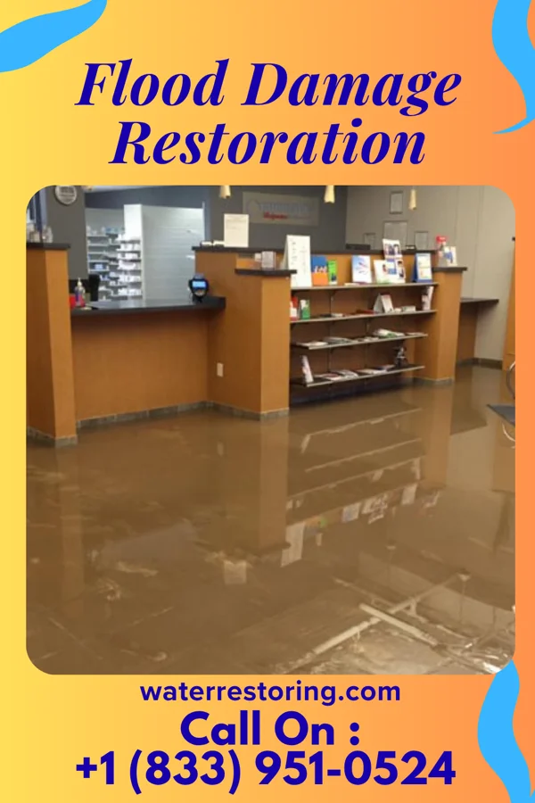 Flood Damage Restoration in Beards Fork, WV