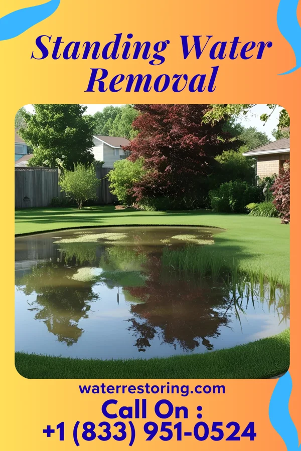 Standing Water Removal in Beards Fork, WV